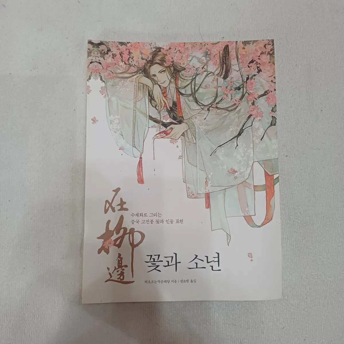 꽃과 소년 수채화 중국 고전풍 꽃 인물 표현 도서