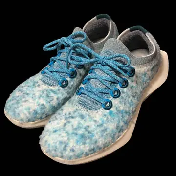 올버즈 allbirds 울 대셔 2 남성용 28cm