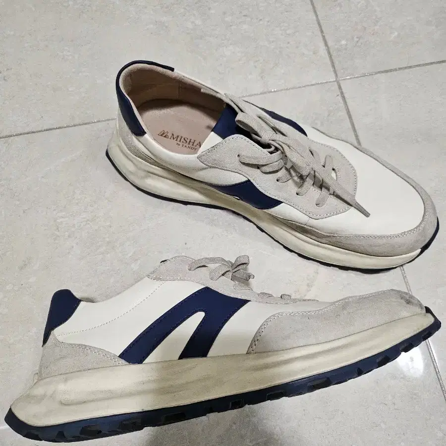 탠디 270