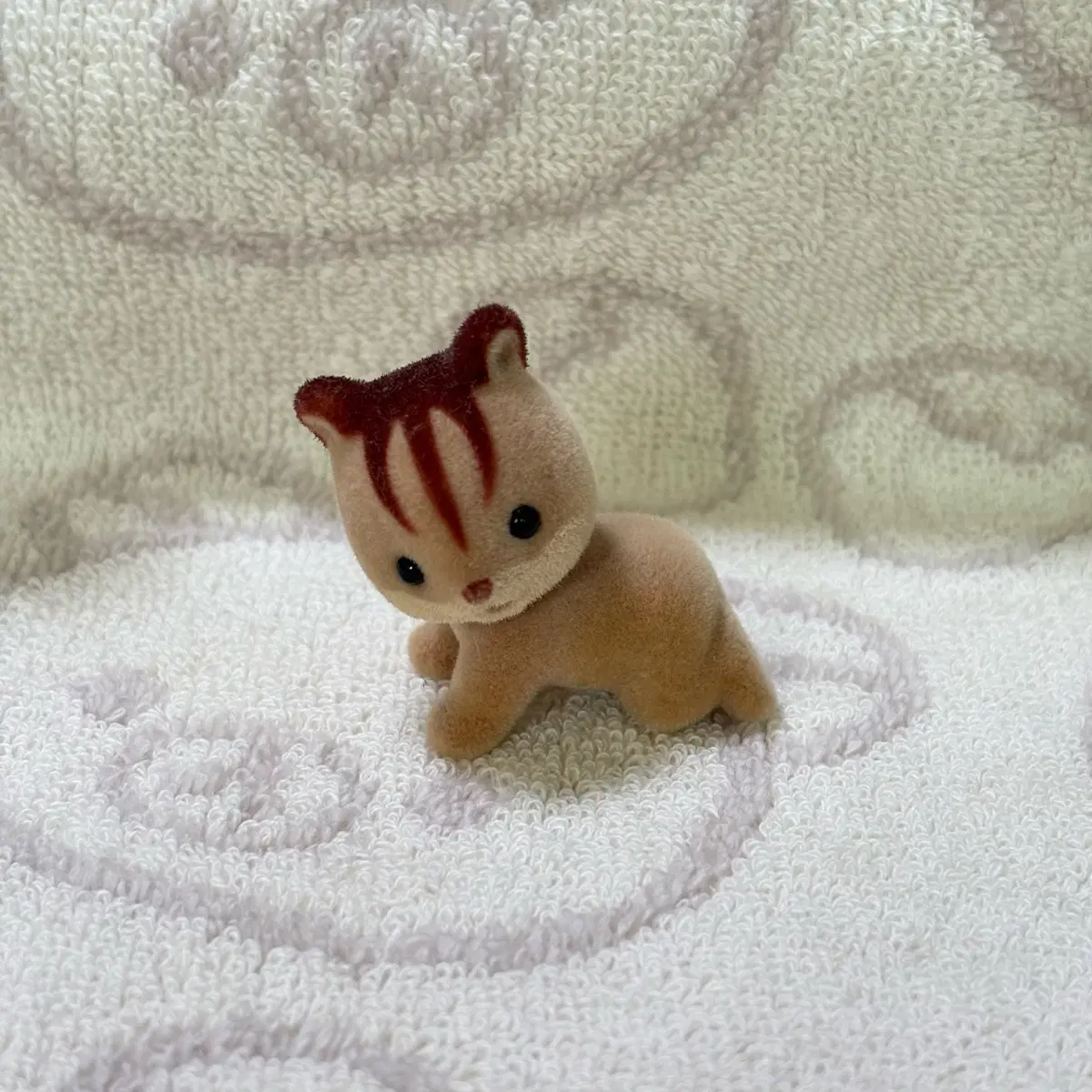 실바니안 아기다람쥐