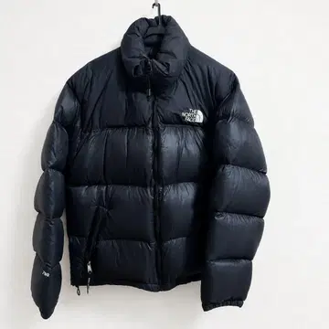 THE NORTH FACE 눕시 700필