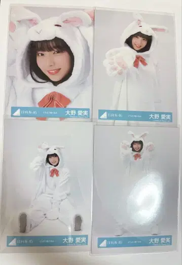 히나타자카46 오노 마나미 브로마이드 컴프 동물 인형옷