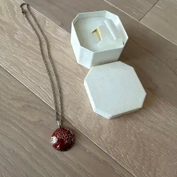 티타늄 목걸이