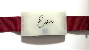 Eve 오토기 LED 라이트 밴딩 하자품 점등 가능