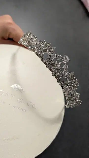 Ivory&Co Christiana 크리스티아나