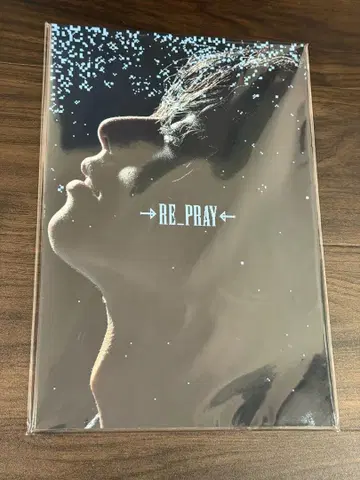 RE_PRAY 하뉴 유즈루 팜플렛