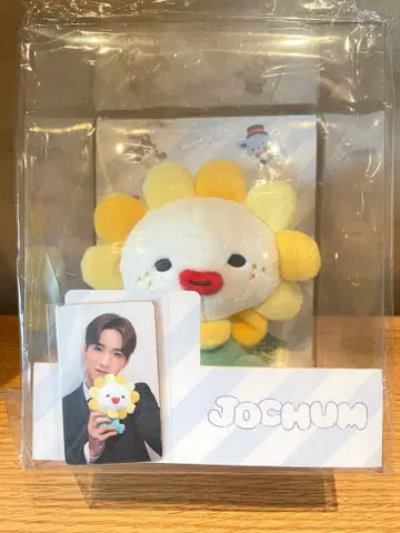 JOCHUM 제오참 빌라 초기 봉제 인형 트레이딩 카드 포함 사토 케이고 JO1