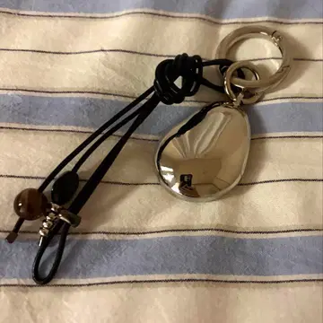 ear papillonner 메탈 참