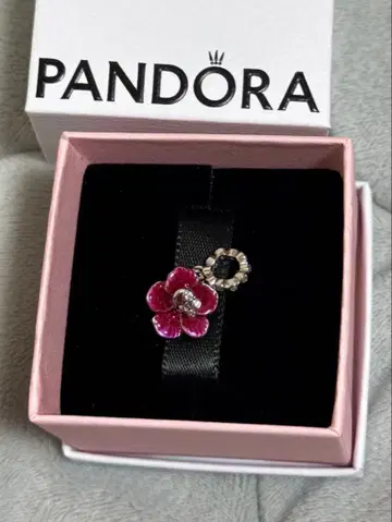 PANDORA 판도라 참 하이비스커스