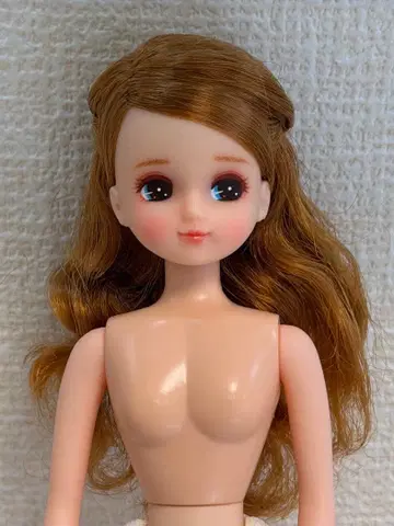 커스텀 메이크 리카짱 커스텀 리카짱 리카짱 캐슬