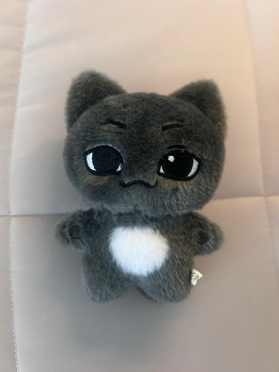 배우 주지훈 비공굿 10cm 인형 쥰냥이