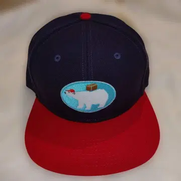 아바타로전대 돈브라더스 OTTO 캡 북극곰 택배 슈퍼 전대