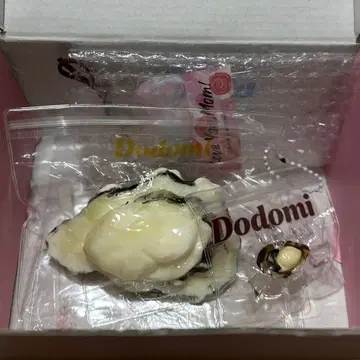 Dodomi 스퀴즈 모자 생굴 덤 포함