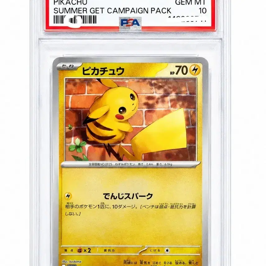 포켓몬카드 PSA 10 (GEM MT) / 피카츄 프로모 / 일본판
