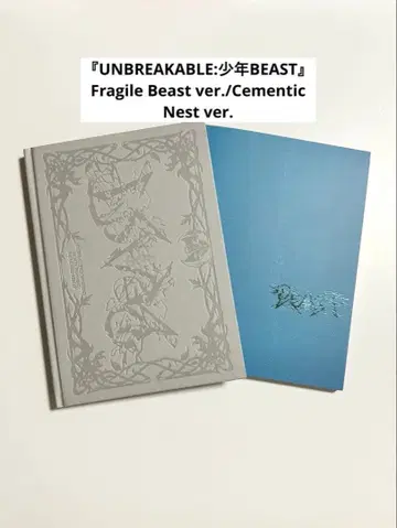 ALD1 앨범 Fragile Beast/Cementic Nest ver