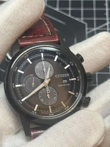 CITIZEN Eco-Drive 크로노그래프 손목시계 교체용 벨트 포함