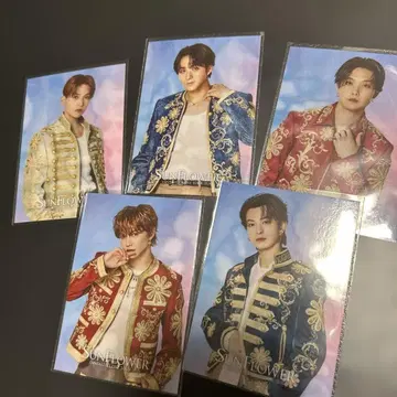 FANTASTICS SUNFLOWER 포토 카드 5장 세트