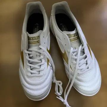 MORELIA SALA ELITE IN