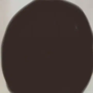 cc 핸드백 숄더백