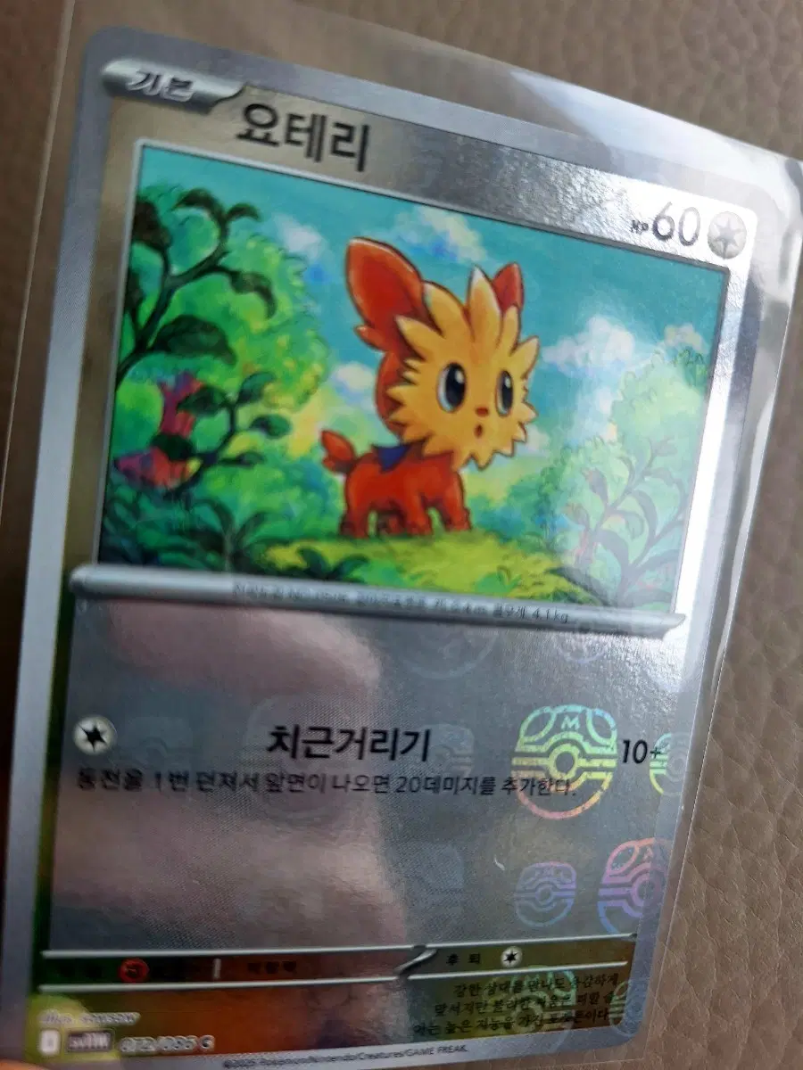 포켓몬 카드 요테리 마스터볼