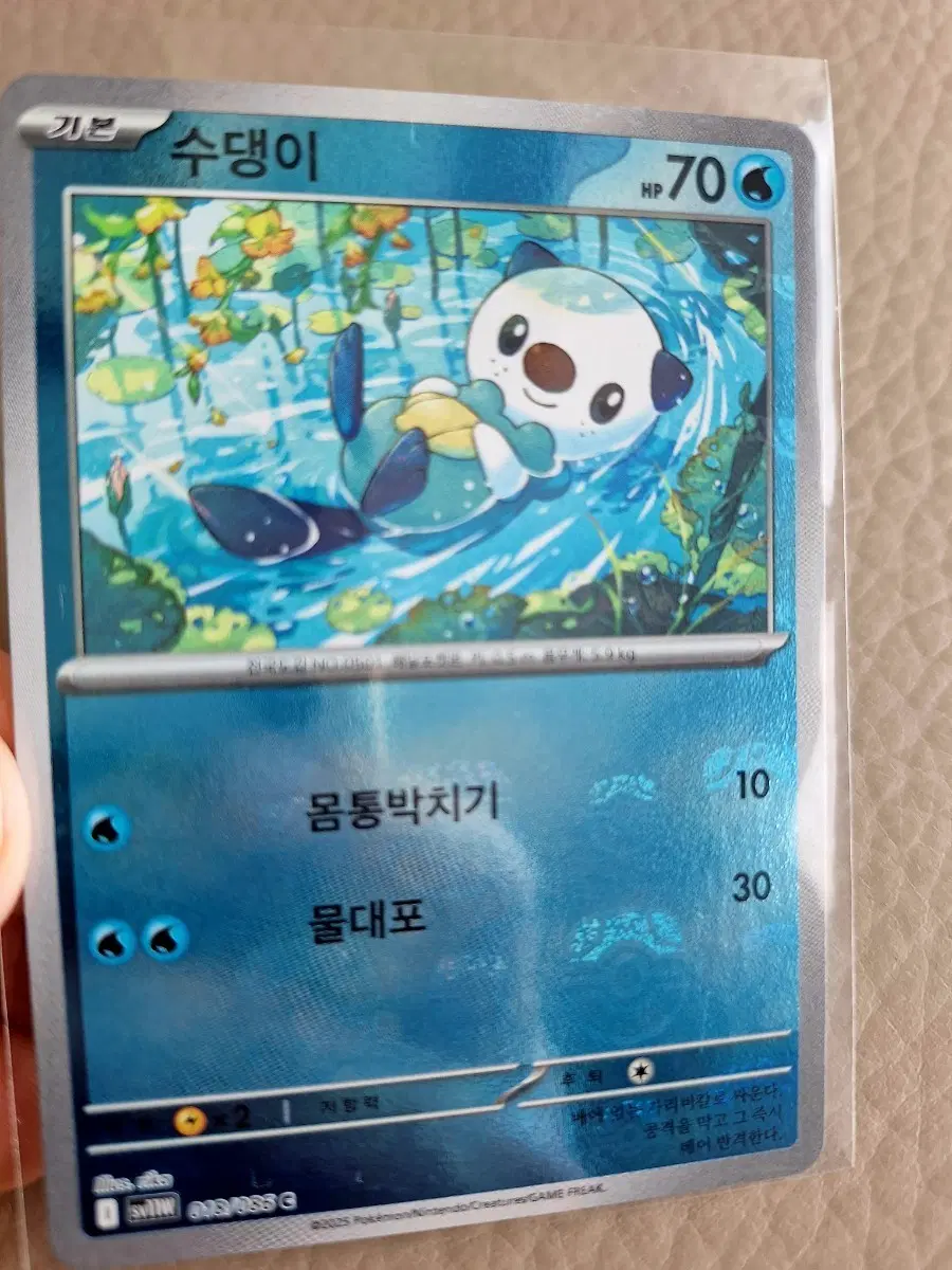 포켓몬 카드 수댕이 마스터볼