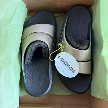 [새상품] 일본 정품 우포스 OOmega Luxe Latte 24cm