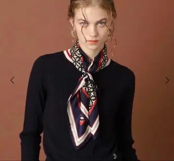 DRESSTERIOR 실크 100% 스카프 택 포함 새상품
