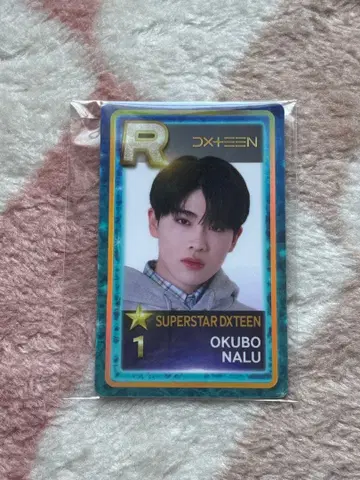 DXTEEN 오쿠보 하루 슈슬라포 트레이딩 카드