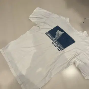 Patagonia 파타고니아 Beneficial 티셔츠 파타고니아 M