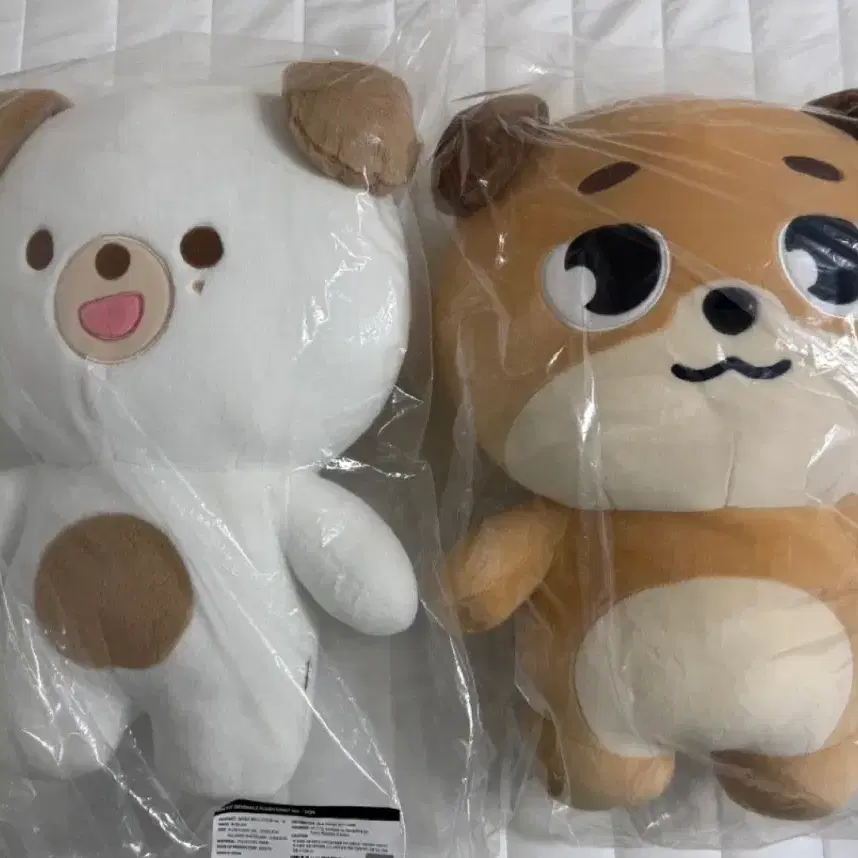 데이식스 도운 데니멀즈 돈 엠디(원가 이하)