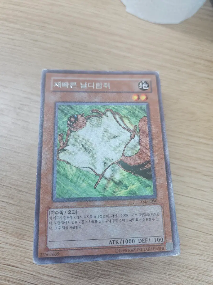 재빠른날다람쥐 레어