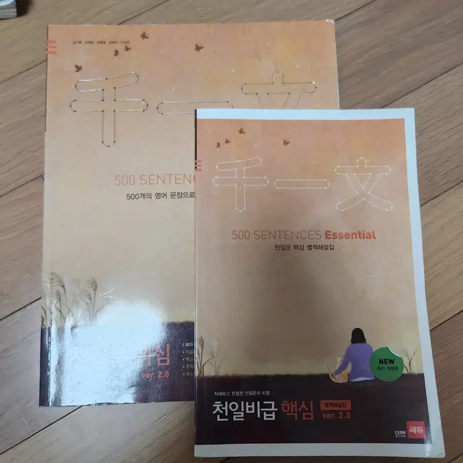천일문 500 주황