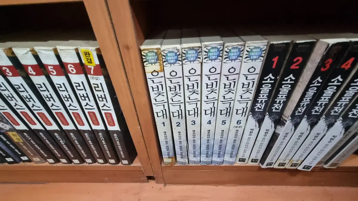 은빛늑대 1-6 완 캣츠아이 퓨전 판타지 소설