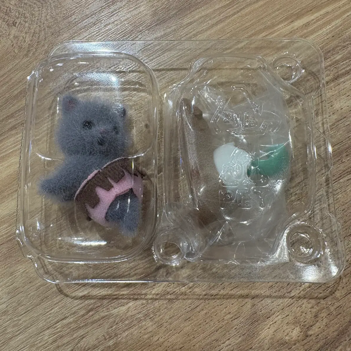 실바니안 페르시안 고양이 새상품