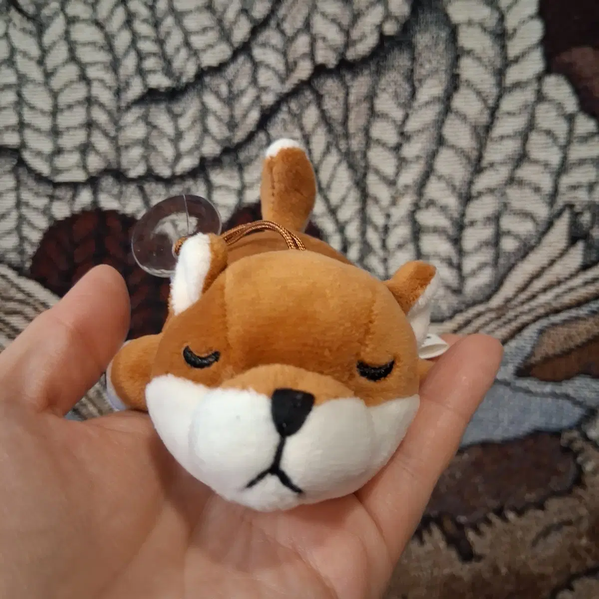 모찌모찌 시바견 인형 큐방