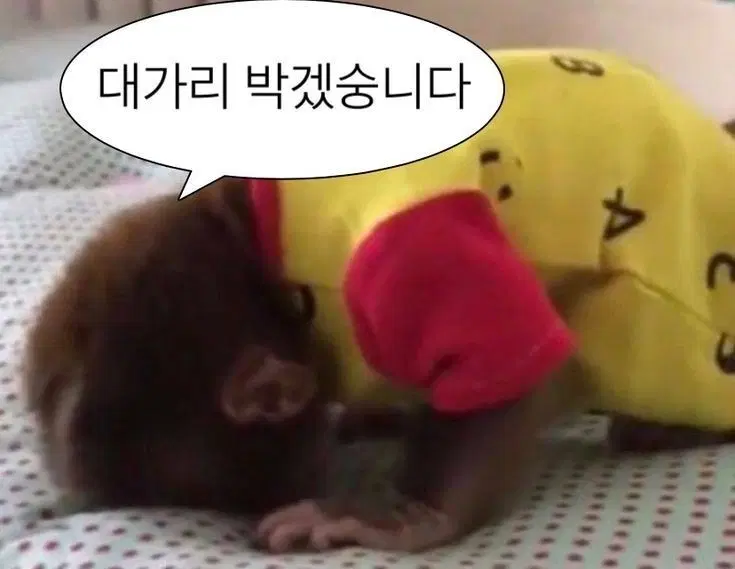 닌텐도 스위치 OLED 삽니다!