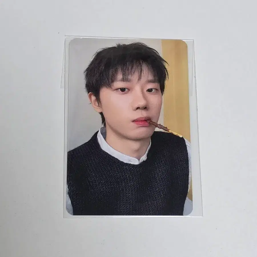 하현상 뉴보트 콘서트 빼빼로 포카