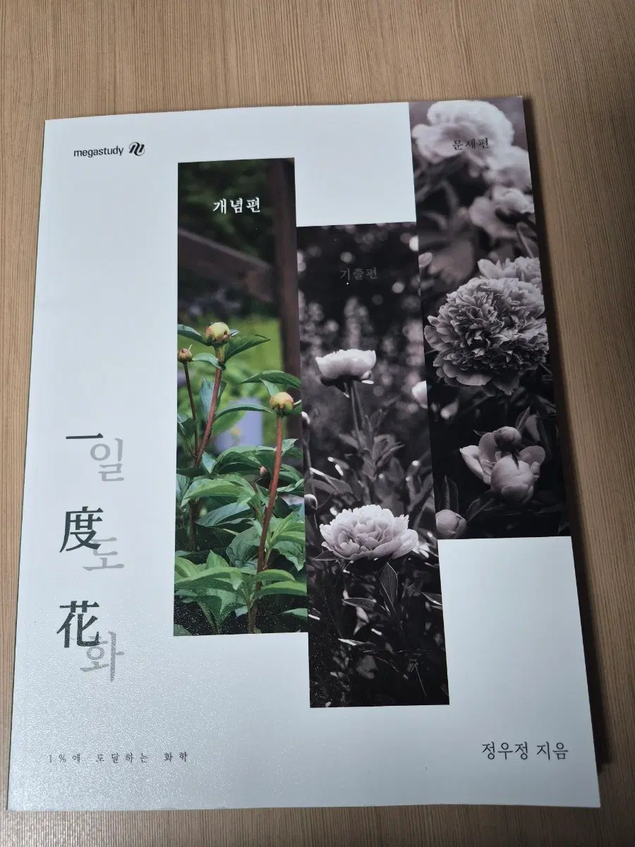 메가스터디 정우정T - 화학1 일도화 개념편