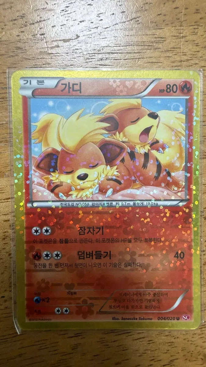 포켓몬 카드 가디