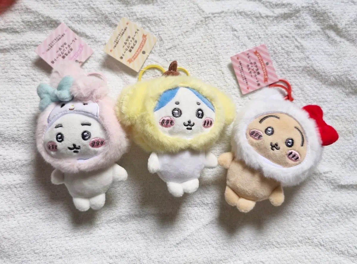 치이카와 산리오 키링 3종 세트