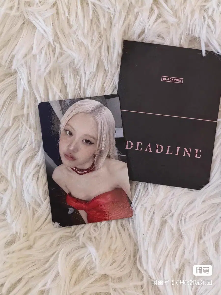 예판 블랙핑크 중국 팝업 포카