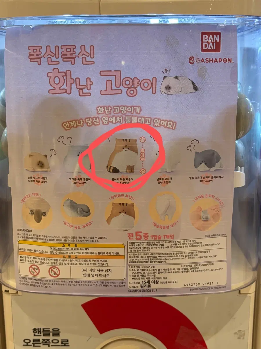 화난 고양이 피규어 가챠 판매 합니다