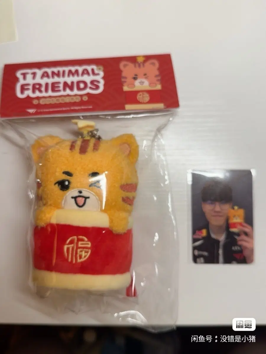 예판 티원 중국 한정 인형