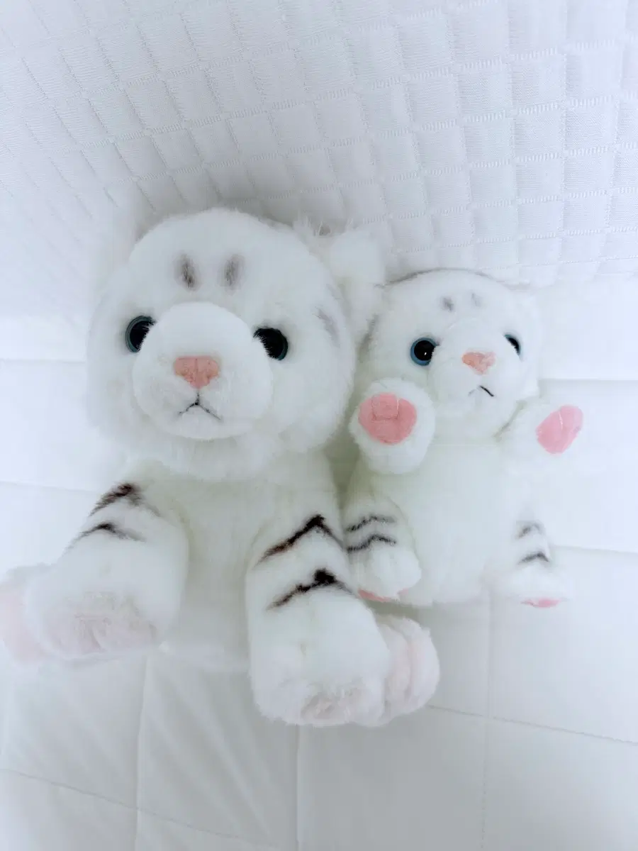 에버랜드 백호 인형 일괄 세트