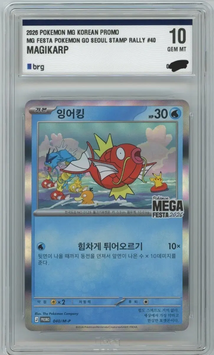 포켓몬 카드 잉어킹 2026 MG FESTA SEOUL PROMO