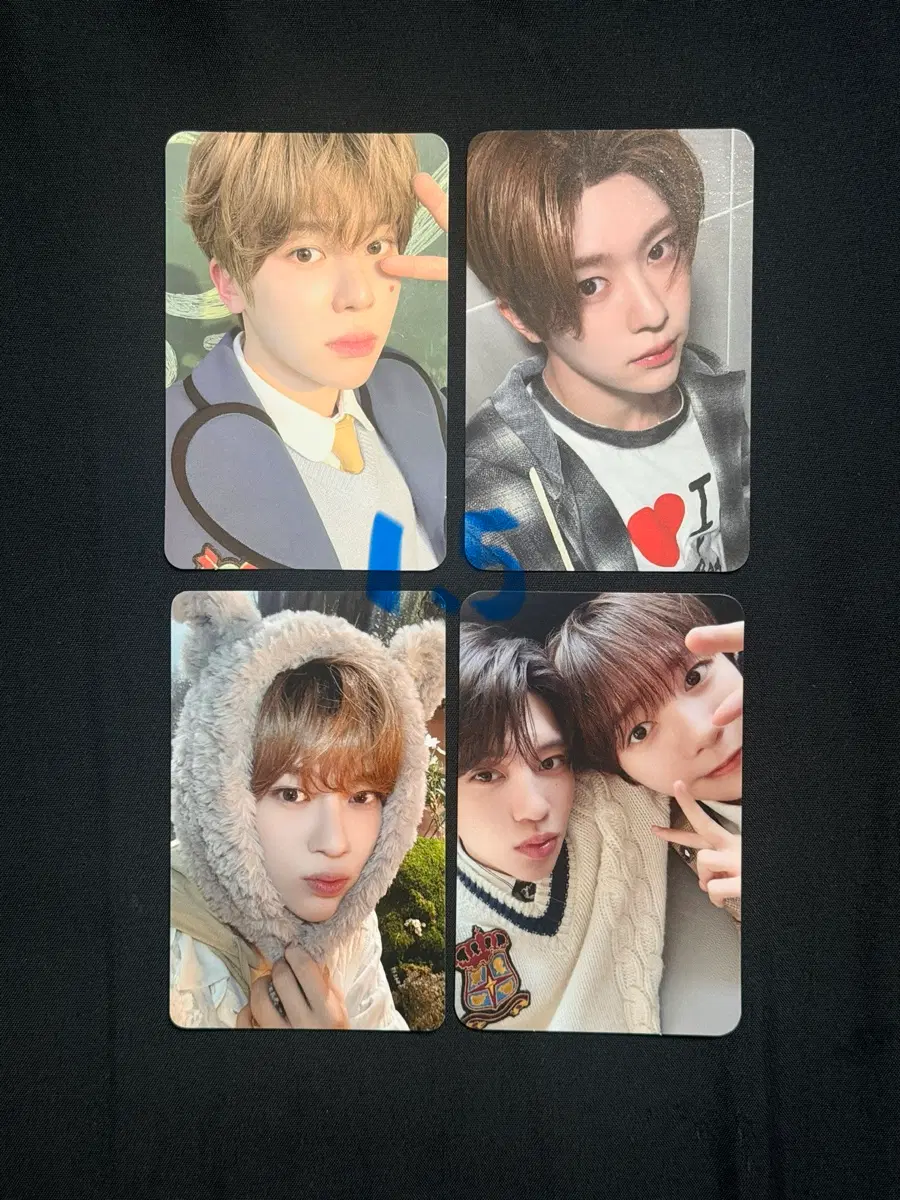NCT WISH 시온 포카 포토카드 일괄