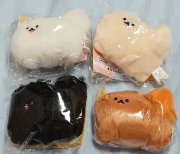 가챠 룬룬 포메라니안 전 4종 풀컴프