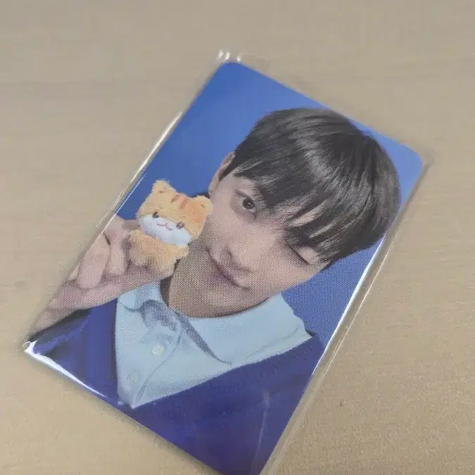 애니티즈 인 데자부 에이티즈 타이니애니티즈미니인형 홍중 포카