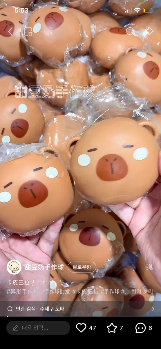 샤오홍슈 카피바라 크런치 슬랑이