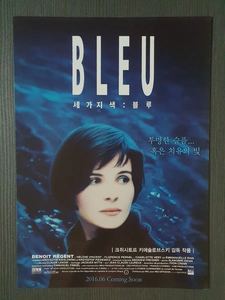 블루 영화 재개봉 전단지 팜플렛 A4